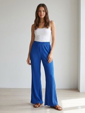 H&M Royal Blue Pleated Wide-Leg Pants